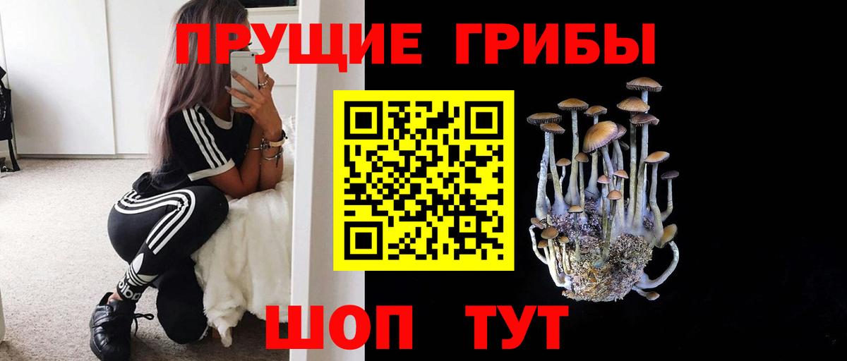 Псилоцибиновые грибы Cubensis Елабуга